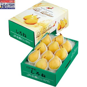 Gg[Ń|Cg10{y~̑́zVYiJAV₫jt[ct[˂̃ N`G 7`11Av2D9kgȏ