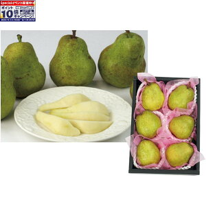 Gg[Ń|Cg10{y~̑́zR`YrbOEtX EtXAGiA5LA6LTCYA5`6Av2D5kgȏ