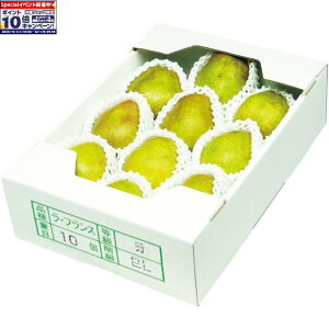 Gg[Ń|Cg10{y~̑́zR`YEtX2L10 GiA2LTCYA10Av2D5kgȏ