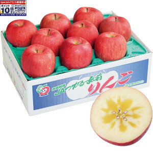 Gg[Ń|Cg10{y~̑́zXYiJAOOjTӂ񂲁iAAL2LTCYA9`10j