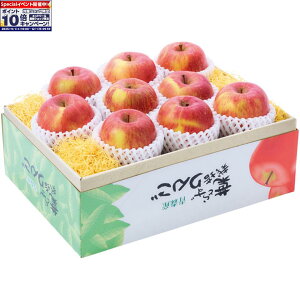 Gg[Ń|Cg10{y~̑́zXYtƂ炸͔|Tӂ GiALTCYA9i1290gȏj