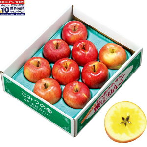 Gg[Ń|Cg10{y~̑́zXYiJAÌy݂炢ΐj肱݂ IA4S`MTCYA8`12Av2kgȏ