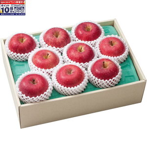 Gg[Ń|Cg10{y~̑́zXYxI Tӂ 7`9i1250gȏjAv2D2kgȏ