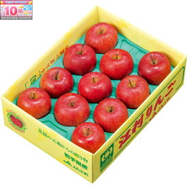 ★エントリーでポイント10倍★【冬の贈りもの】岩手県産（JA江刺）高糖度選果・江刺りんご 丸秀品、M〜2Lサイズ、9〜11個、計2．8kg以上