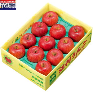 Gg[Ń|Cg10{y~̑́z茧YiJA]hjxIʁE]h ۏGiAM`2LTCYA9`11Av2D8kgȏ