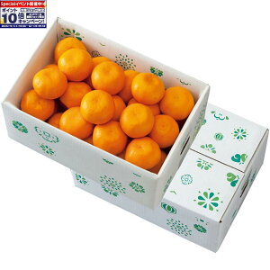 Gg[Ń|Cg10{y~̑́za̎RY gbvǒbݗLc݂ Gi͗DiASMLTCYAv3kgȏ