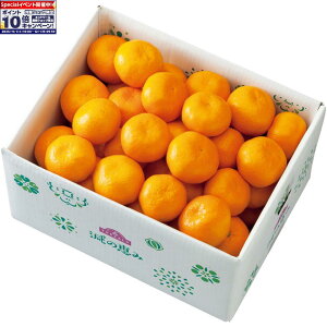 Gg[Ń|Cg10{y~̑́za̎RY gbvǒbݗLc݂ Gi͗DiAMLTCYAv5kgȏ