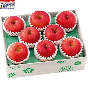 Gg[Ń|Cg10{y~̑́zXY gbvǒbݎ㊮nTӂ GiA8Av2D5kgȏ