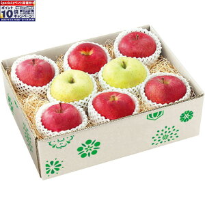 Gg[Ń|Cg10{y~̑́zXY gbvǒbݎ㊮n3񂲋l