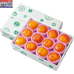 Gg[Ń|Cg10{y~̑́za̎RY gbvǒbݕxL` GiALTCYȏA10[14Av3D5kgȏ