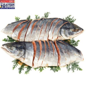 Gg[Ń|Cg10{y~̑́z當EKYRАVpؐgԉihj