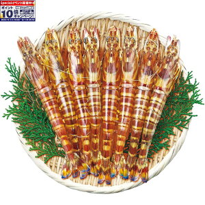 Gg[Ń|Cg10{y~̑́zKF{YԂсi{Bj250g