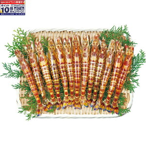 Gg[Ń|Cg10{y~̑́zKF{YԂсi{Bj400g