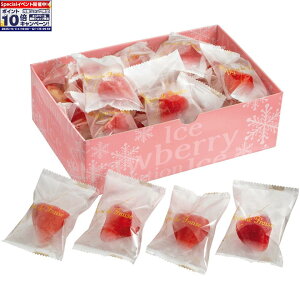 Gg[Ń|Cg10{y~̑́zX[䕂̕Δ