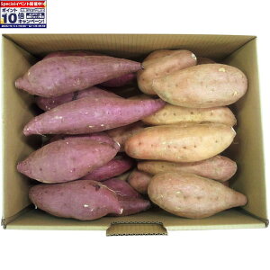 Gg[Ń|Cg10{y~̑́zYiJAqvj[Eg͂邩Zbg