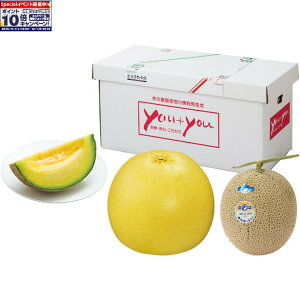 Gg[Ń|Cg10{y~̑́zF{YӔMEA[X Zbg