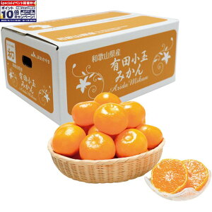 Gg[Ń|Cg10{y~̑́za̎RYiJA킩܁jLcʂ݂ipj