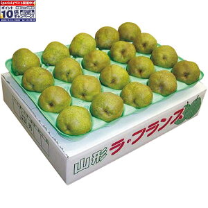 Gg[Ń|Cg10{y~̑́zR`YEtXʁiMELj唠ipj