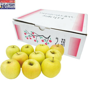 Gg[Ń|Cg10{y~̑́z쌧Ypuꍂ̂ܖ2D7kgȏ