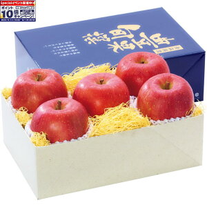 Gg[Ń|Cg10{y~̑́zXYTӂ񂲁iGi5Av1D9kgȏj