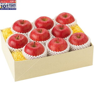 Gg[Ń|Cg10{y~̑́zXYTӂ񂲁iGi9j