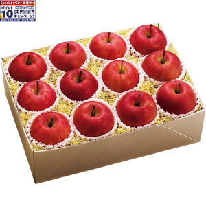 Gg[Ń|Cg10{y~̑́zXYTӂ񂲁iGi12j