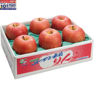 Gg[Ń|Cg10{y~̑́zXYiOOjTӂ