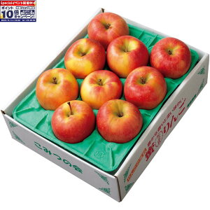 Gg[Ń|Cg10{y~̑́zXYiJAÌy݂炢ΐj肱݂񂲁ipj