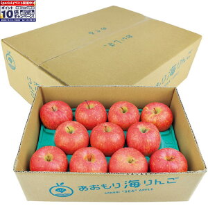 Gg[Ń|Cg10{y~̑́zXYp C