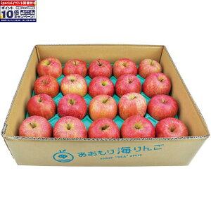 Gg[Ń|Cg10{y~̑́zXYƒp C 5kg