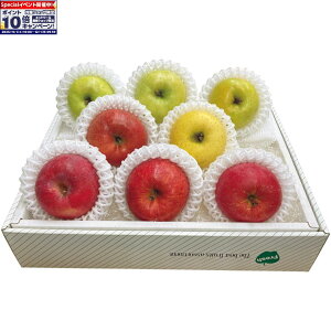 Gg[Ń|Cg10{y~̑́zXY񂲐Hה