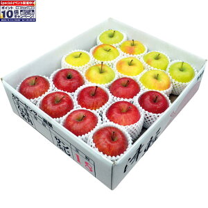 Gg[Ń|Cg10{y~̑́zXYTӂ񂲁ܖB