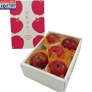 Gg[Ń|Cg10{y~̑́zR`YTӂ