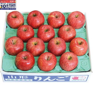 Gg[Ń|Cg10{y~̑́zR`Yisjʂ̂Tӂ