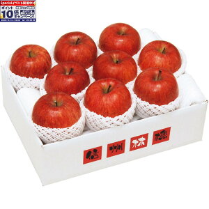 Gg[Ń|Cg10{y~̑́z쌧YiJAȂ̎RmnjTӂ