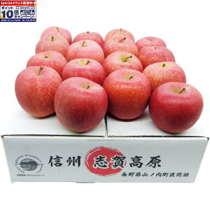 Gg[Ń|Cg10{y~̑́z쌧YiRmԐjuꍂAԐ̃Tӂ