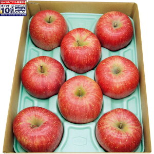 Gg[Ń|Cg10{y~̑́z쌧Yuꍂ̃Tӂ