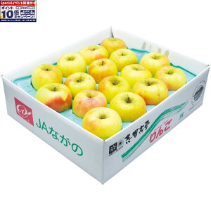 Gg[Ń|Cg10{y~̑́z쌧Ypuꍂ̂ܖ5kg