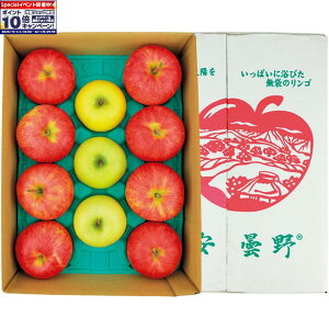 Gg[Ń|Cg10{y~̑́z쌧YTӂ񂲁VimS[hA