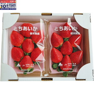 Gg[Ń|Cg10{y~̑́zȖ،YiJA܁jƂ