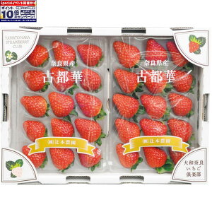 Gg[Ń|Cg10{y~̑́zޗǌYÓs