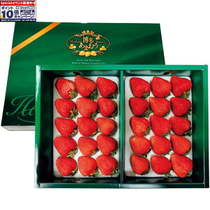 Gg[Ń|Cg10{y~̑́zY܂䕉ϔ_u