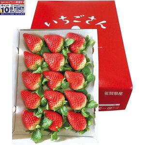 Gg[Ń|Cg10{y~̑́zꌧY䕉ϔ