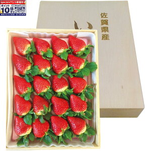 Gg[Ń|Cg10{y~̑́zꌧY䕖ؔ