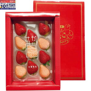 Gg[Ń|Cg10{y~̑́zꌧYgiW×jϔ