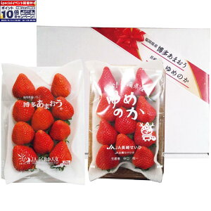 Gg[Ń|Cg10{y~̑́zYE茧Y܂䕁E߂̂䕔