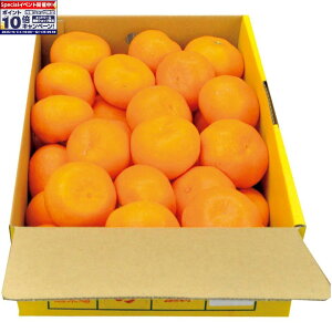 Gg[Ń|Cg10{y~̑́za̎RLcYLc݂MTCY