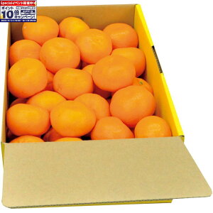 Gg[Ń|Cg10{y~̑́za̎RLcYLc݂LTCY