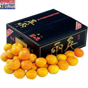 Gg[Ń|Cg10{y~̑́zQYiJAɂ̊ۋIj̊ۂ݂5kg