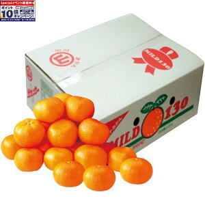 Gg[Ń|Cg10{y~̑́zY݂i}Chj